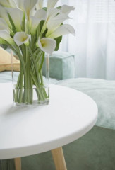 Стол журнальный круглый Бекс 450 (450х450х450) ТЛ