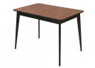 Стол Рэй-1030 прямоугольный  (венге / средний тон + венге)