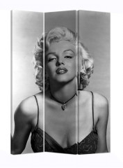 ММ-3 (Мерлин/3 панели)