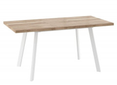 БОРГ-120(160)х80стол раздвижной Дуб каньон/Белый