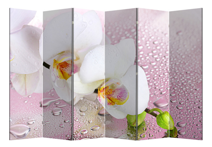 Ширма Nurian 1101 "Орхидея"