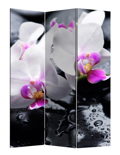 Ширма Nurian 1104 "Спа"