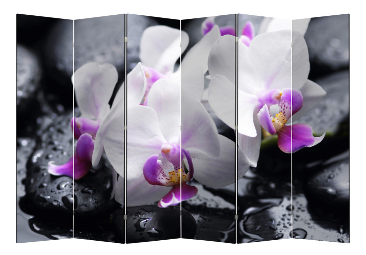 Ширма Nurian 1104 "Спа"