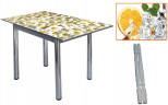 Стол обеденный 832-П (Апельсин (ЧС-24) / ноги Белый) фото печать