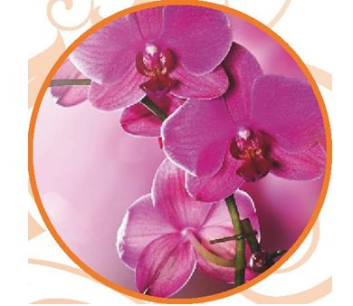 Стол обеденный Стекло круглый ФФ-56-ПВХ/ноги хром