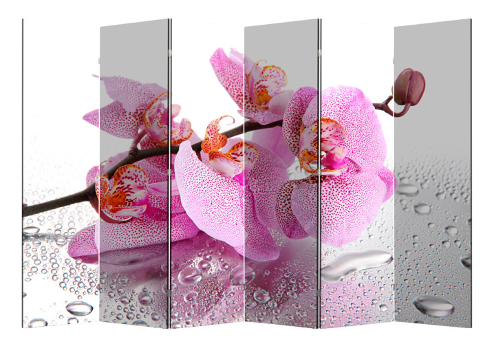 Ширма Nurian 1110 "Розовая орхидея"