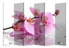 Ширма Nurian 1110 "Розовая орхидея"