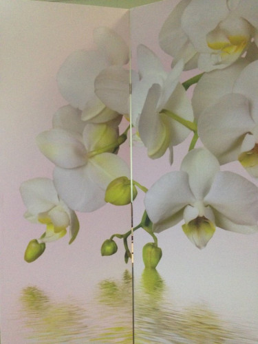 Ширма Nurian 1112 "Белая орхидея"