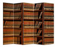Ширма Nurian 1704 "Книги"
