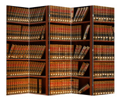 Ширма Nurian 1704 &quot;Книги&quot;