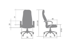 Кресло руководителя Монблан нат кожа вишня МТГ хром ИМ