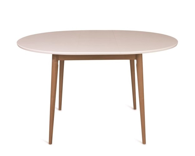 Стол Боско-1000  (столешница белая эмаль / средний тон)