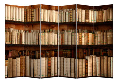 Ширма Nurian 1705 "Книги"
